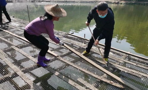 炉下镇“以拆促整”规范养殖 打好小流域水环境治理攻坚战